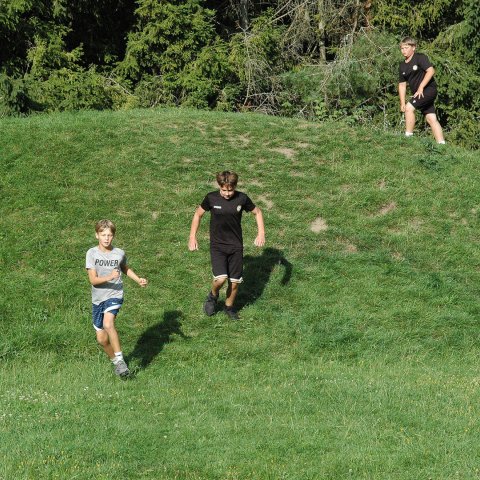 DSC_1354.jpg