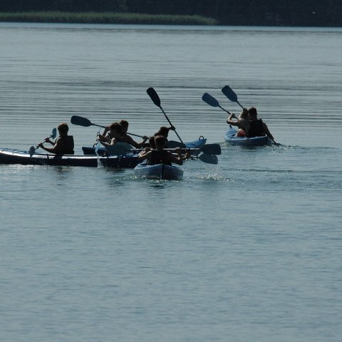 DSC_2981.jpg