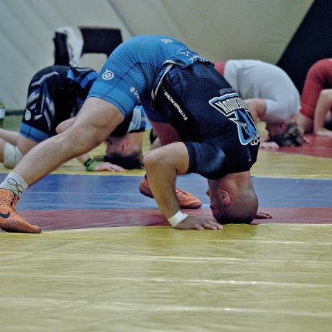 DSC_2695.jpg